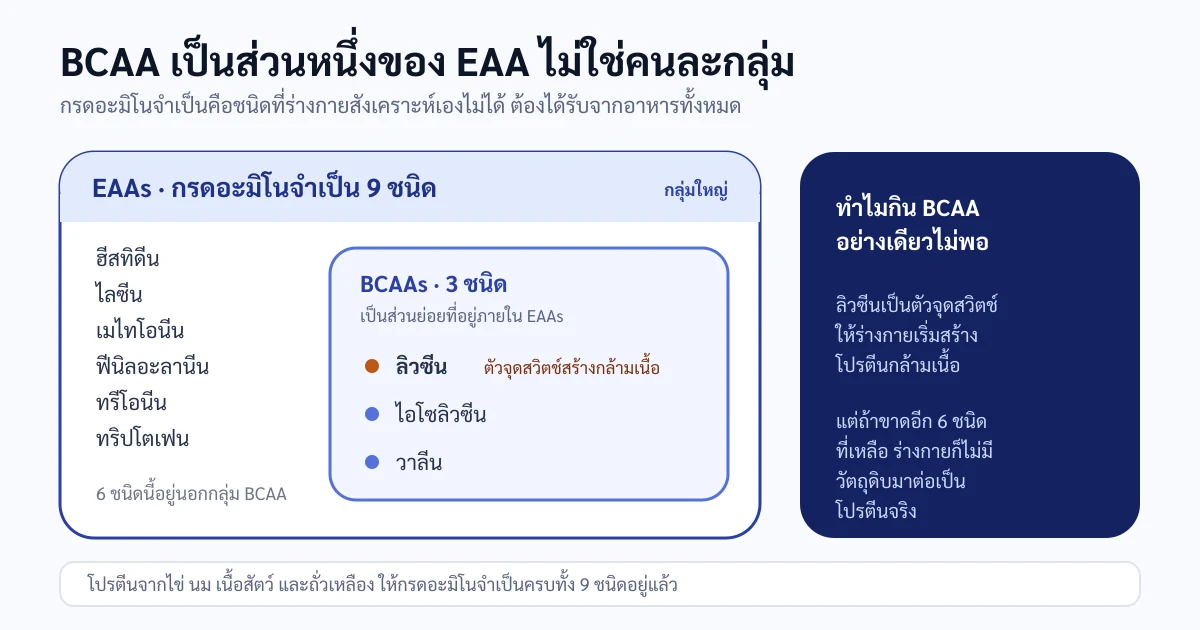 แผนภาพวงซ้อน แสดงว่ากรดอะมิโนจำเป็นมี 9 ชนิด และ BCAA 3 ชนิดคือลิวซีน ไอโซลิวซีน วาลีน เป็นส่วนย่อยที่อยู่ภายในกลุ่ม 9 ชนิดนั้น ไม่ใช่คนละกลุ่มกัน
