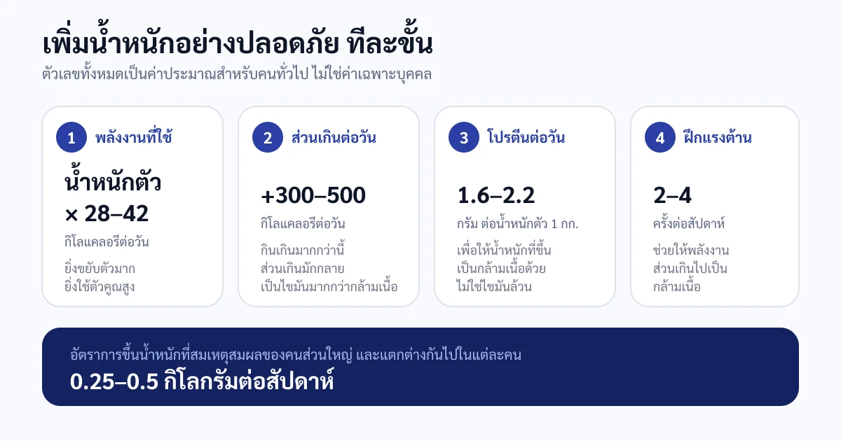 แผนภาพสี่ขั้นตอนการเพิ่มน้ำหนัก ได้แก่ หาพลังงานที่ใช้จากน้ำหนักตัวคูณ 28 ถึง 42 บวกส่วนเกิน 300 ถึง 500 กิโลแคลอรีต่อวัน ตั้งเป้าโปรตีน 1.6 ถึง 2.2 กรัมต่อน้ำหนักตัวหนึ่งกิโลกรัม และฝึกแรงต้าน 2 ถึง 4 ครั้งต่อสัปดาห์