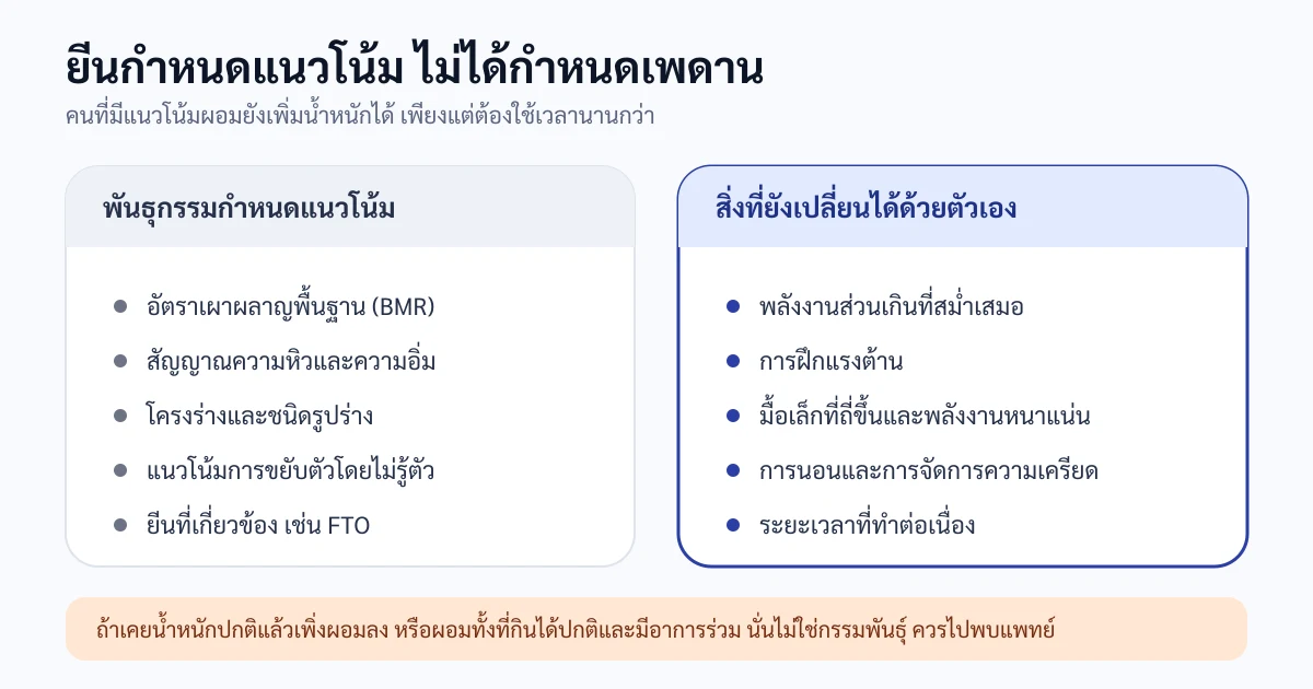 แผนภาพเปรียบเทียบสองฝั่ง ฝั่งซ้ายคือสิ่งที่พันธุกรรมกำหนดแนวโน้มไว้ เช่น อัตราเผาผลาญพื้นฐานและสัญญาณความอิ่ม ฝั่งขวาคือสิ่งที่ยังเปลี่ยนได้เอง เช่น พลังงานส่วนเกินที่สม่ำเสมอและการฝึกแรงต้าน