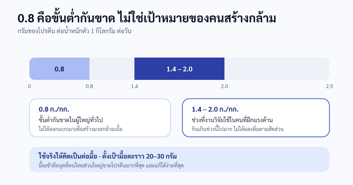 แผนภาพแถบเปรียบเทียบปริมาณโปรตีนต่อน้ำหนักตัวหนึ่งกิโลกรัม เริ่มจากค่าขั้นต่ำที่ป้องกันการขาดราว 0.8 กรัม ไปจนถึงช่วงที่งานวิจัยใช้ในคนที่ฝึกแรงต้านราว 1.4 ถึง 2.0 กรัม