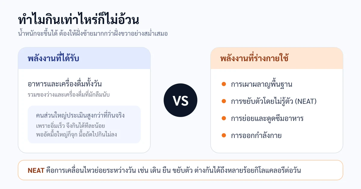 แผนภาพสมดุลพลังงาน เปรียบเทียบพลังงานที่ได้รับจากอาหารทั้งวัน กับพลังงานที่ร่างกายใช้ ซึ่งประกอบด้วยการเผาผลาญพื้นฐาน การขยับตัวโดยไม่รู้ตัว การย่อยอาหาร และการออกกำลังกาย